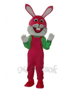 Easter Etiquette Rabbit Mascot Adult Costume