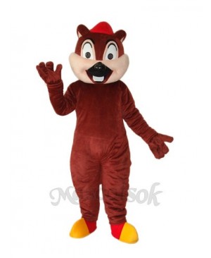 Squirrel Bear Mascot Adult Costume