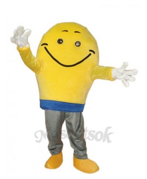 Light Bulb Mascot Adult Costume