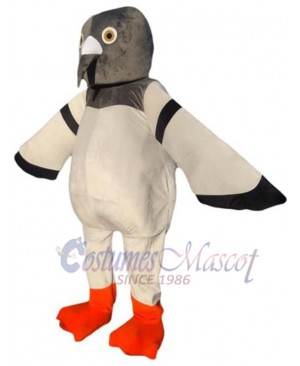 Pigeon Mascot Adult Costume