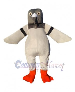 Pigeon Mascot Adult Costume
