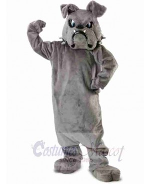 Bulldog Mascot Costume 