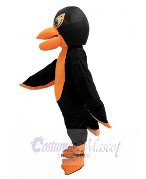 Falcon mascot costume