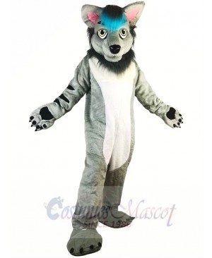 Grey Wolf Mascot Costume 