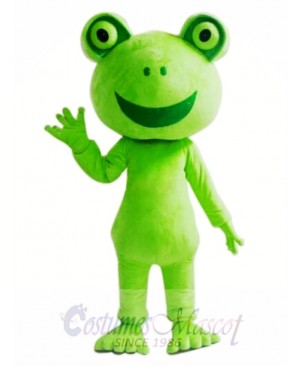 Green Frog Mascot Costume