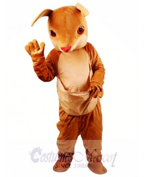 Kangaroo Mascot Costume