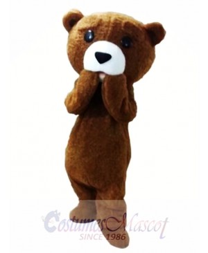 Fur Teddy Bear Mascot Costume
