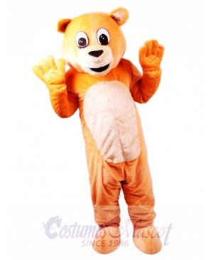 Honey Bear Mascot Costume