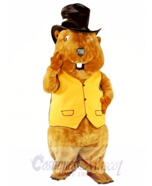 Mr. Beaver Mascot Costume