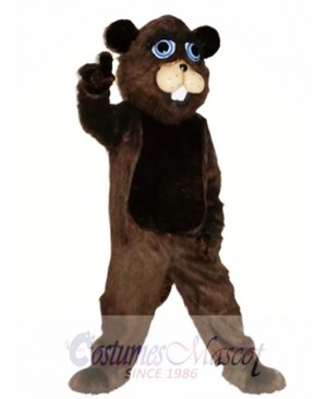 Handmade Beaver Mascot Costume