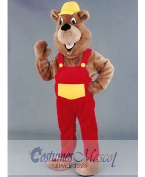 Beaver Mascot Costume for Promotion