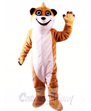 Meerkat Mascot Costume