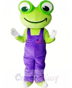 Cartoon Frog Mascot Costume