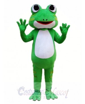 Green Frog Mascot Costume