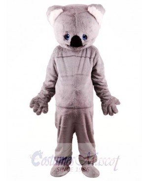 Gray Koala Mascot Costume