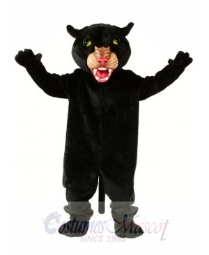 Black Panther Mascot Costume