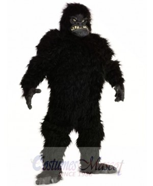 Gorilla Mascot Costume