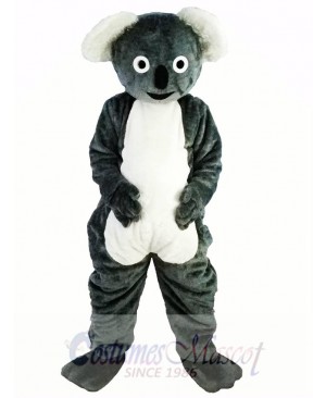 Cute Gray Koala Mascot Costume