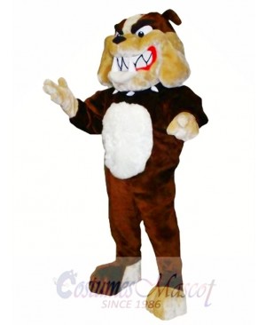 Bulldog Mascot Costume