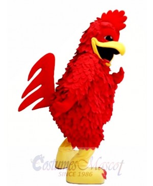 Red Chicken Mascot Costume