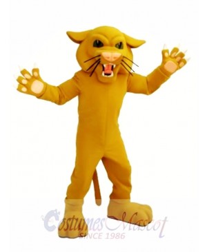 High Quality Wildcat Mascot Costume