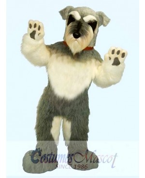 Cute Dog Mascot Costume