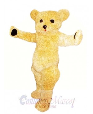 Teddy Bear Mascot Costume Adult Costume