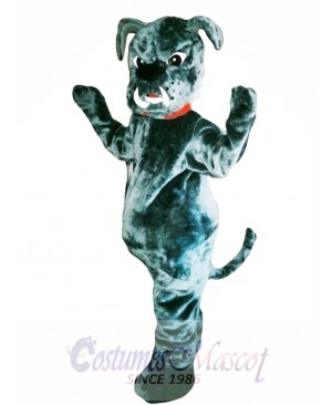 Bull Dog Mascot Costume Adult Costume