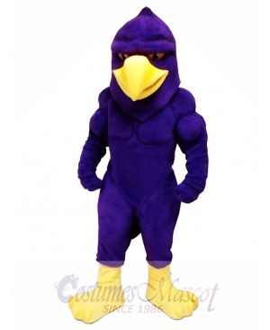 Power Hawk Mascot Costume