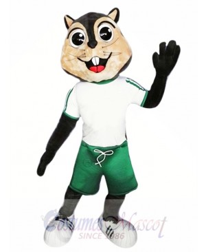 High Quality Squirrel Mascot Costume