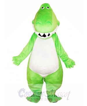 Adult Green Dinosaur Mascot Costume