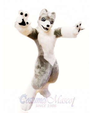 Cute White Grey Wolf Mascot Costume