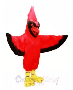 All Red Cardinal Mascot Costume