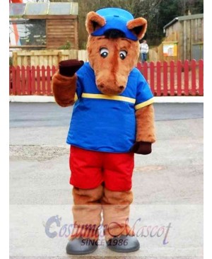 Cute Animal Lion Mascot Costume