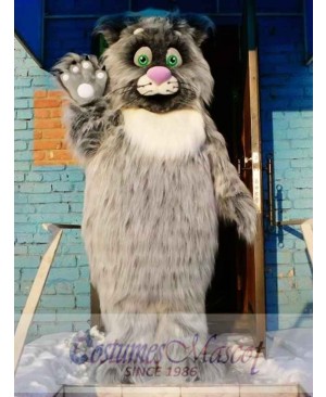 High Quality Cat Mascot Costume