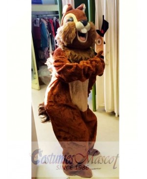 Animal Squirrel Mascot Costume