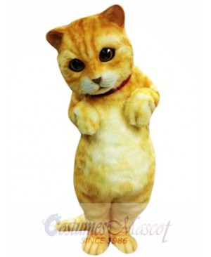Cute Animal Cat Mascot Costume