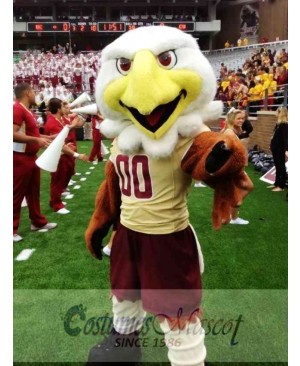 College Eagles Mascot Costume