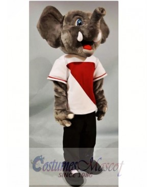 Happy Elephant Mascot Costume