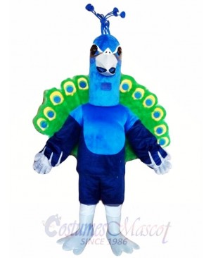 Peacock Mascot Costume