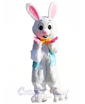 Easter Bunny Mascot Costume