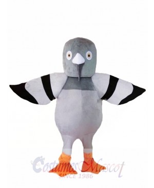 Cartoon Grey Pigeon Mascot Costume