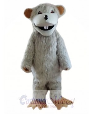 Gray Mouse Mascot Costumes  