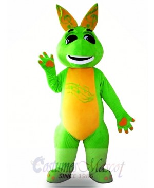 Professional Cute Dragon Mascot Costume Adult Size