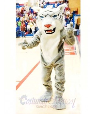 Gray Wildcat Mascot Costume