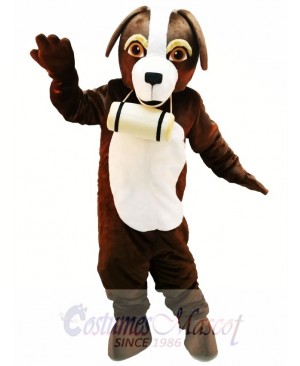 Cute St. Bernard Dog Mascot Costume