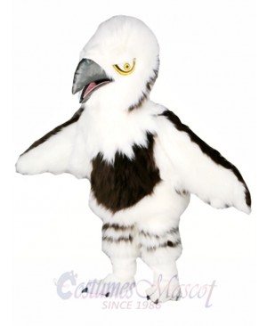 Eagle Mascot Costume Cartoon Character Costume