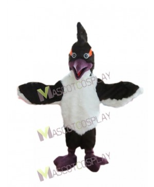 New Woody Woodpecker Black Bird Mascot Costume