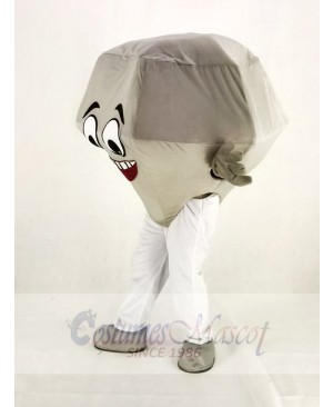 Silver Diamond Mascot Costume Cartoon	