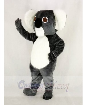 Cute Gray Koala Mascot Costume Cartoon